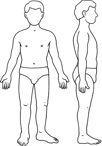 Silueta del cuerpo humano | Silueta del cuerpo humano, Cuerpo humano, Cuerpo  humano para niÃ±os