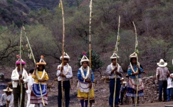 Tepehuanes del Sur - O'dam de Durango. | INPI | Instituto Nacional de los  Pueblos IndÃ­genas | Gobierno | gob.mx