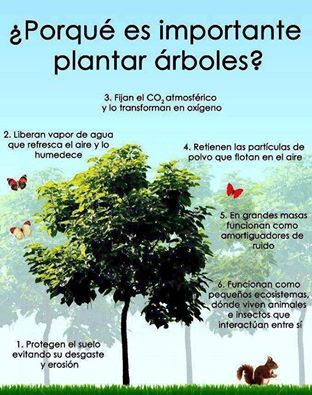 Pin en ENVIROMENT