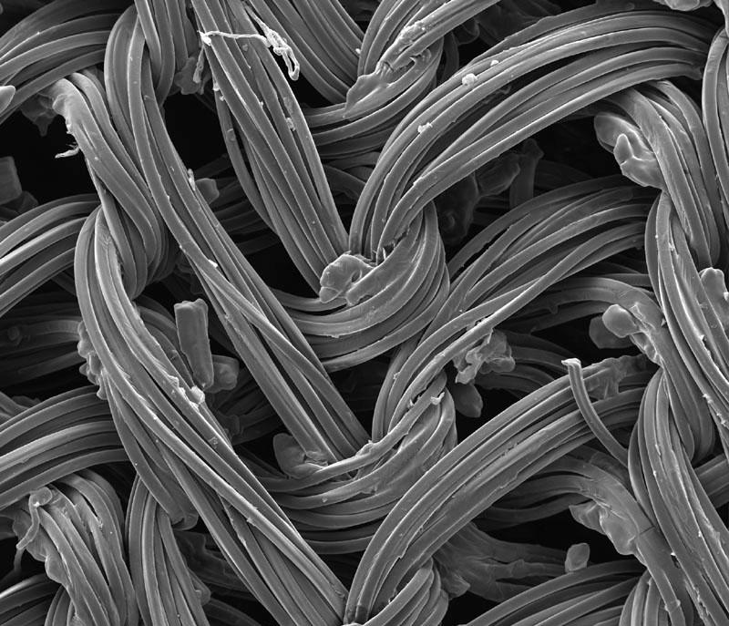 PatrÃ³n de fondo

DescripciÃ³n generada automÃ¡ticamente