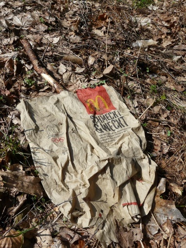 El OtoÃ±o, Papel, Bolsa, Mcdonald ' S, Basura, Residuos
