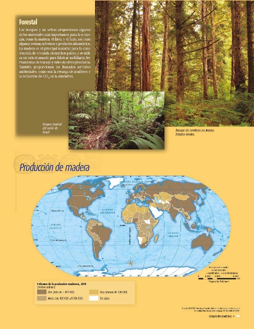 El Duende Del Bosque y La Cosmovisión Forestal, PDF