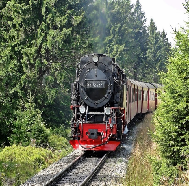 Tren de vapor pasando por un bosque

DescripciÃƒÂ³n generada automÃƒÂ¡ticamente