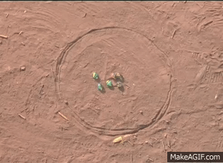 Imagen que contiene ladrillo, edificio, hombre, arena

DescripciÃƒÂ³n generada automÃƒÂ¡ticamente