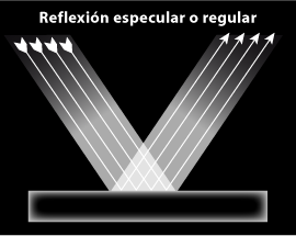 historia de la naturaleza: reflexiones sobre la luz