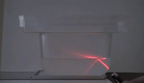 Best Ciencia Divertida GIFs | Gfycat