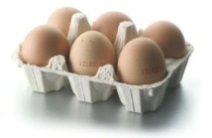 Algunos usos para los empaques de cartÃ³n de los huevos | tecpanecos