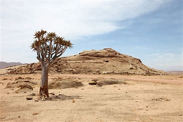 Resultado de imagen de foto de desierto