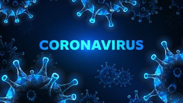 QuÃ© son los coronavirus, cuÃ¡ntos hay y quÃ© efectos tienen sobre los humanos  - BBC News Mundo