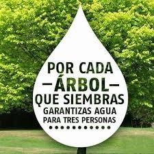 Planta & Canta - Sin agua morimos, sin Ã¡rboles no hay agua, o sea... |  Facebook