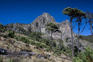 El Parque Nacional Cofre de Perote ya tiene programa de manejo - Consejo  Civil Mexicano para la Sivilcultura Sotenible