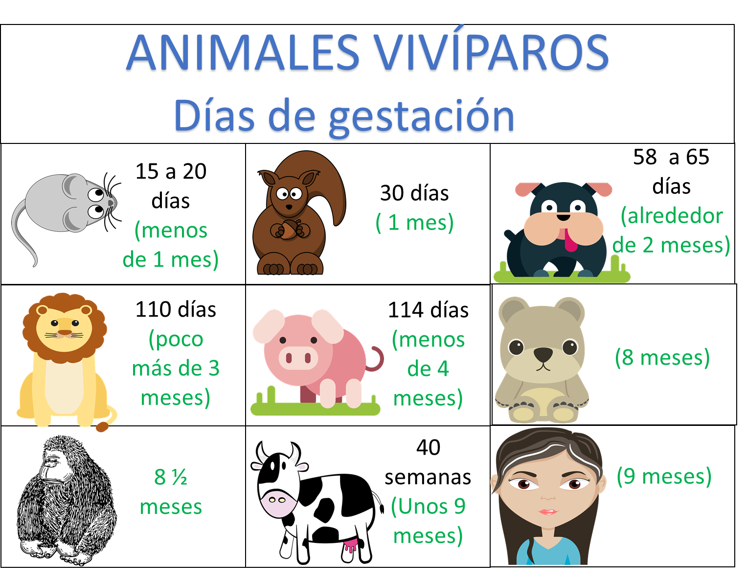 Animales ovíparos y vivíparos - Nueva Escuela Mexicana