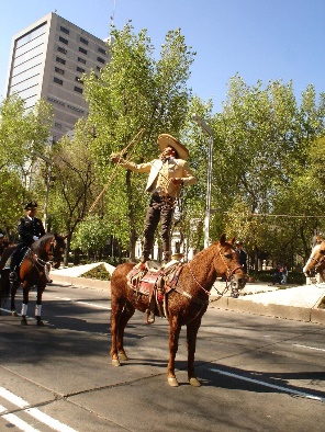 Un grupo de personas en caballo en la calle

DescripciÃ³n generada automÃ¡ticamente