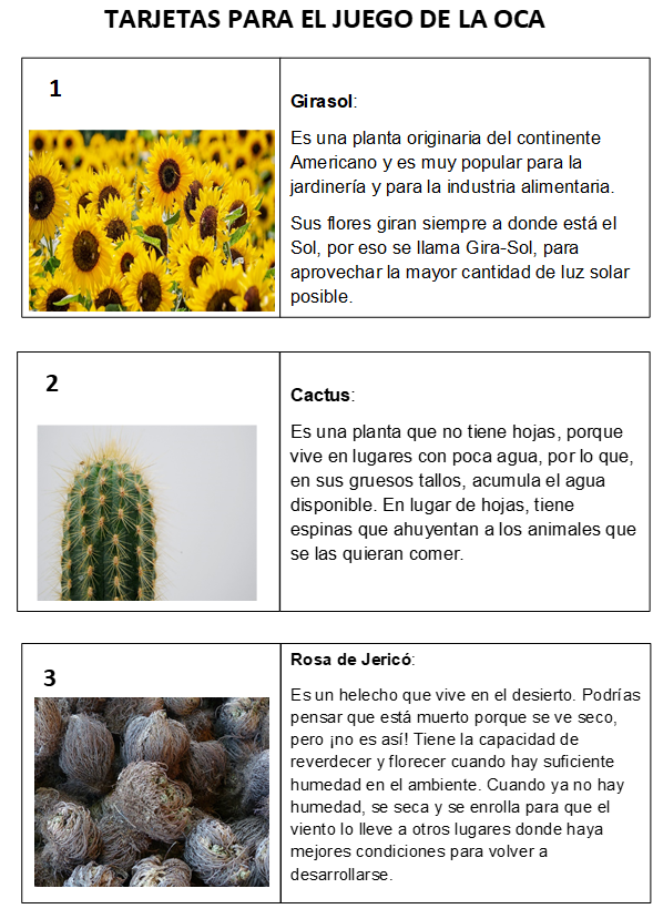 Identificar diferencias en las plantas - Nueva Escuela Mexicana