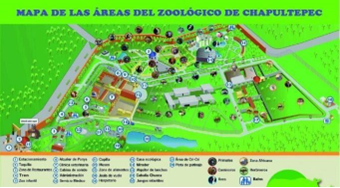 Resultado de imagen para mapa de zoologico de  chapultepec para trazar rutas