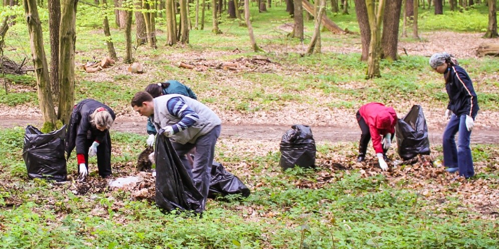 Los testigos de JehovÃ¡ ayudan a limpiar un bosque cerca de Lviv, en Ucrania