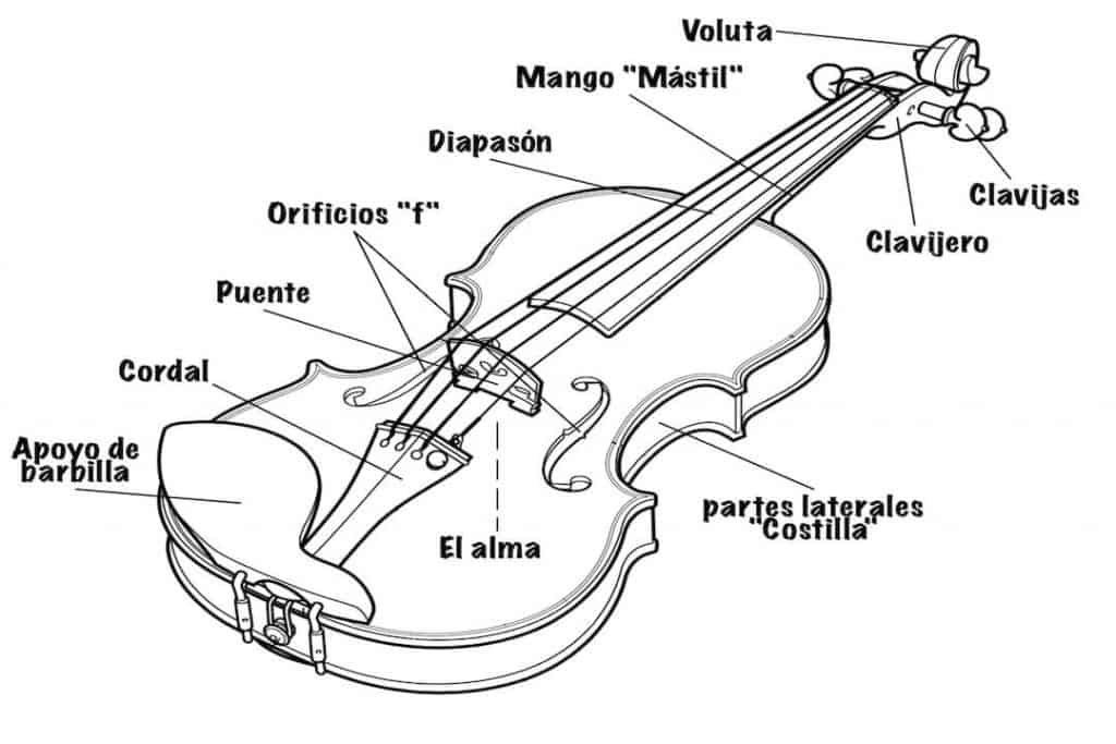 Resultado de imagen para partes del violin