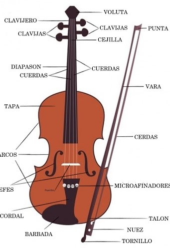 Resultado de imagen para partes del violin